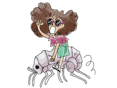 PACK PUCE DE MER