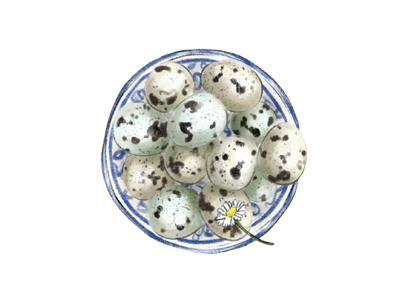 Pack super sachant·e