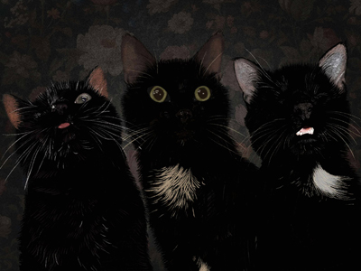 Pack "JUMPSCARE"