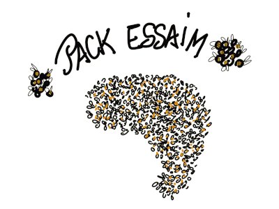 pack essaim